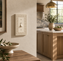 An ivory Ornate toggle switch plate on a warm plaster wall in a sunlit kitchen