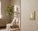 Brass Gold Switchplates