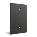 Forge 1-gang cover wall plate in Black