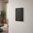 Forge 1-gang cover wall plate in Black - lifestyle