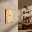 Forge 1G Toggle Wall Plate | Brushed Gold - lifestyle