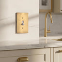 Forge 1G Toggle Wall Plate | Brushed Gold - lifestyle