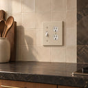 Forge 2G Toggle and Duplex combo plate in Warm Ivory - lifestyle