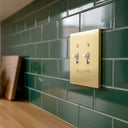Forge 2G Toggle Wall Plate | Brushed Gold - lifestyle
