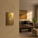 Pearl 1-gang toggle wall plate in Brushed Gold, lifestyle photo