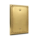 Pearl 1-gang blank wall plate in Brushed Gold