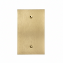 Forge 1G Blank |  Brass Gold