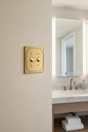 Double toggle switch plate in modern bathroom