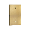 Forge 1G Blank Wall Plate | Brushed Gold