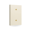 Forge 1G Blank wall plate in Warm Ivory