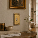 Honey Bee 1G Toggle Wall Plate in Brushed Gold in a living room