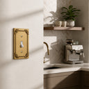 Honey Bee 1G Toggle Wall Plate in Brushed Gold in a kitchen