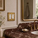 Honey Bee 2G Rocker Wall Plate in Brushed Gold in a bathroom