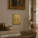 Honey Bee 2G Toggle Wall Plate in Brushed Gold in a living room