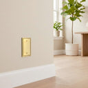 Imperial 1G Blank Wall Plate | Brushed Gold - lifestyle