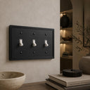 Imperial 3G Toggle wall plate in Black on a wall in a styled room