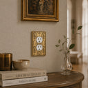 Nouveau 1G Duplex Wall Plate in Brushed Gold in a living room