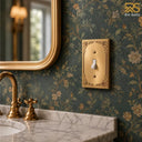 palazzo brushed gold 1g toggle switch plate lifestyle 2