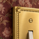 Pearl Brushed Gold - close-up detail