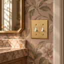 Rio Salto Signature Brushed Brass 2-gang toggle wall plate on floral wallpaper in a powder room