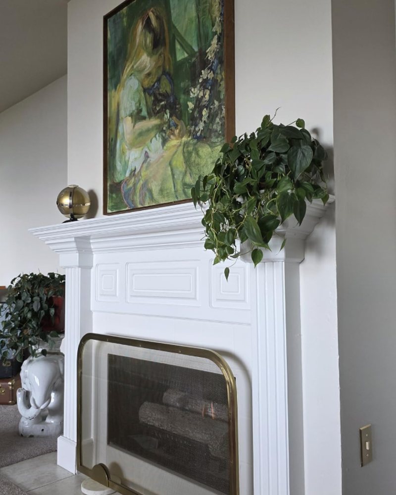 Customer photo: home fireplace
